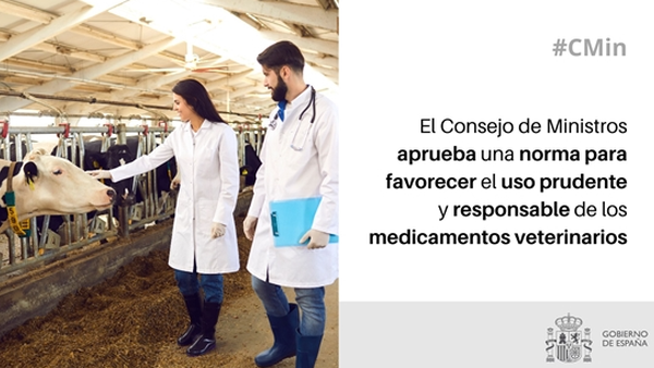 O Goberno aproba unha norma para favorecer o uso responsable e prudente dos medicamentos veterinarios