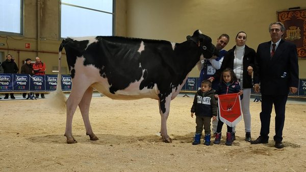 Casa Nueva Doorman Alicia, gran campiona de xovencas de Euskal Herria