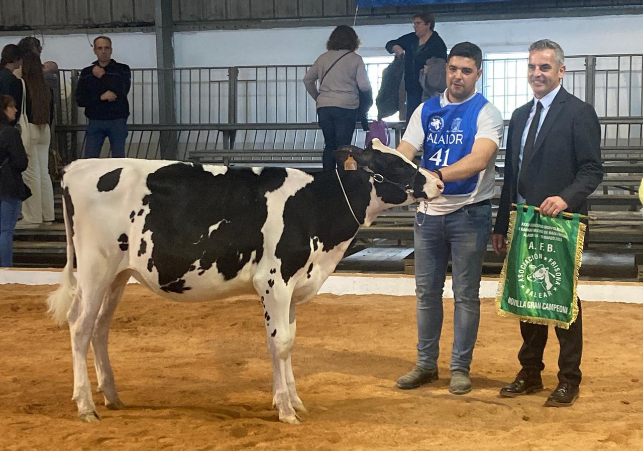 Bell Lloch Lambda Estefania xovenca gran campiona de Menorca 2023