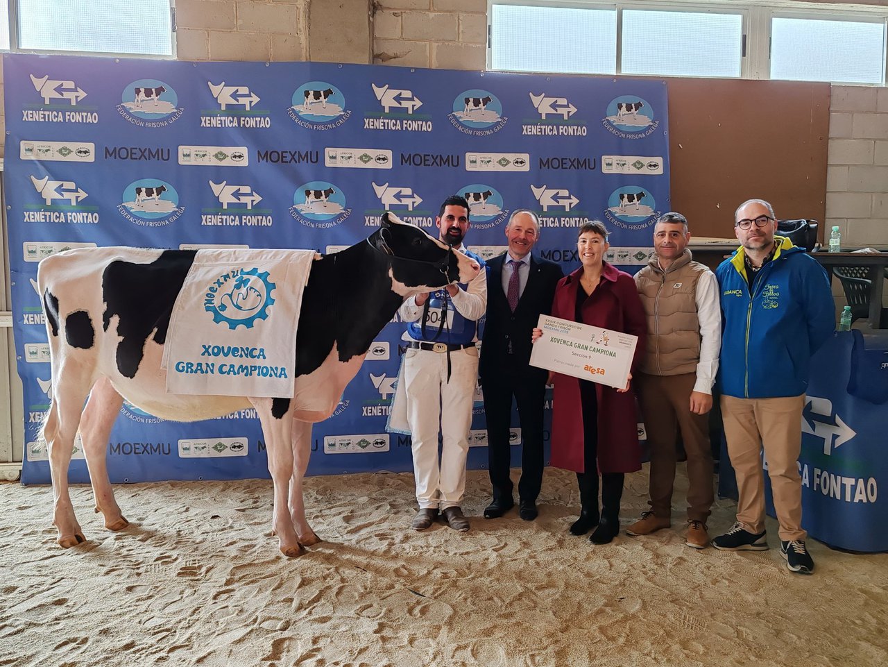 Rey 1273 Haxl Bambi proclámase xovenca gran campiona en Moexmu 2025