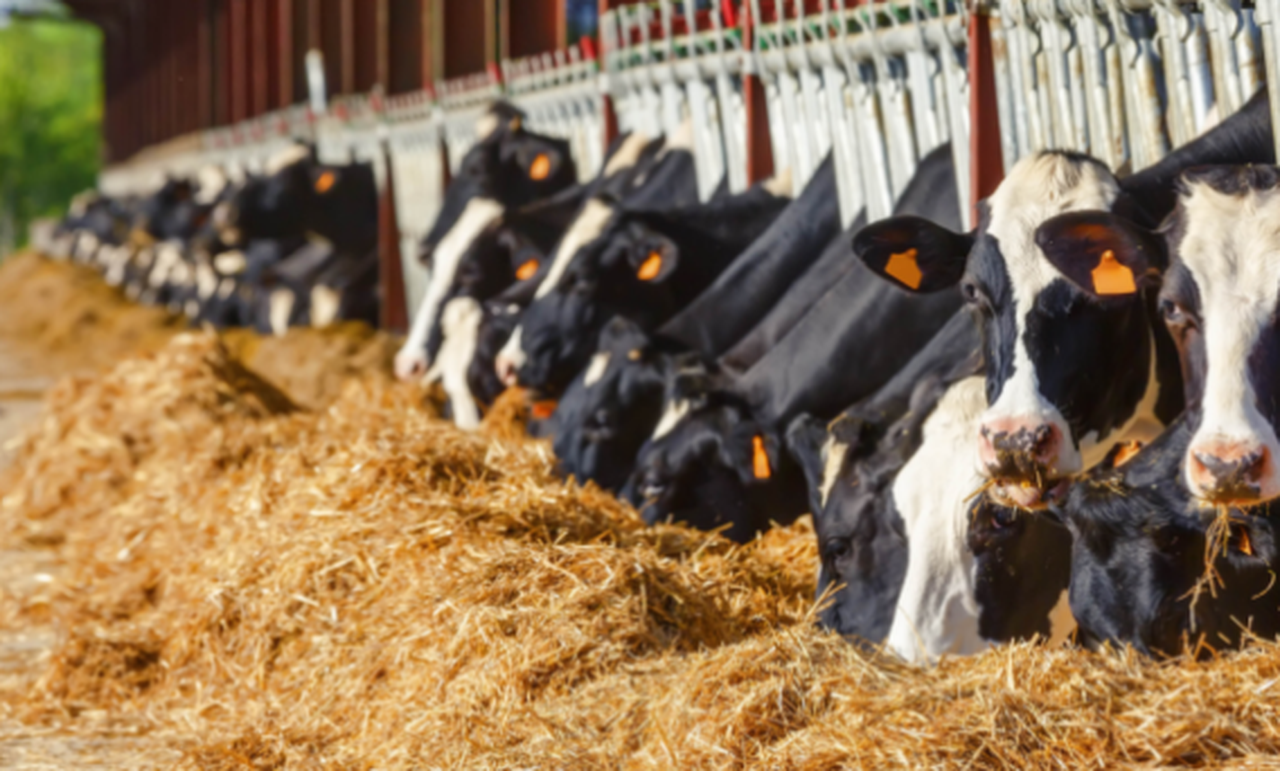 Las indemnizaciones del seguro agrario marcan un máximo histórico en Galicia en 2025