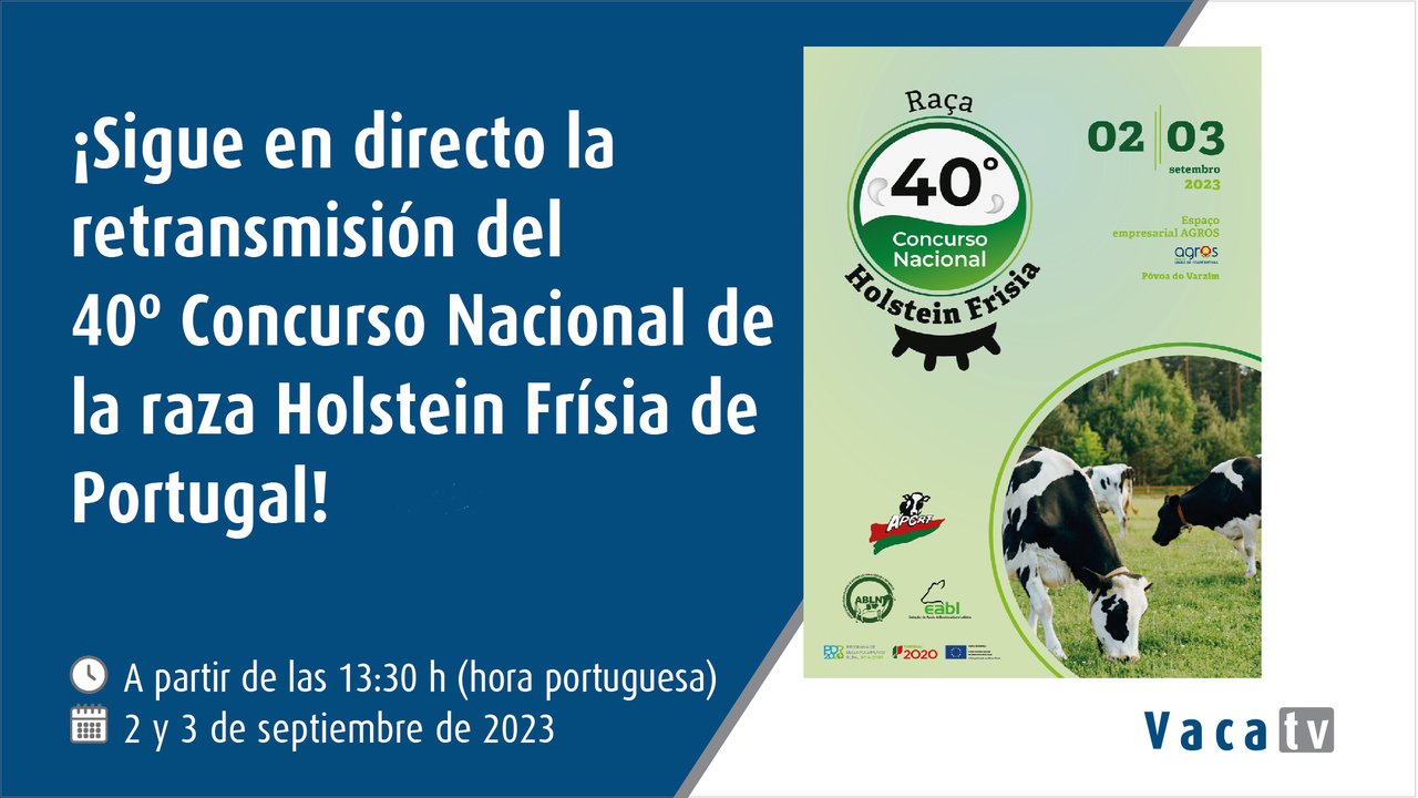 O Concurso Nacional de Portugal, en directo con Vaca Pinta