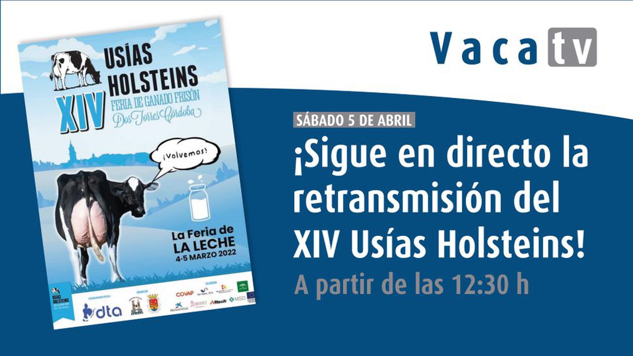 El 14º Concurso Usías Holsteins, mañana en directo en Vaca Pinta