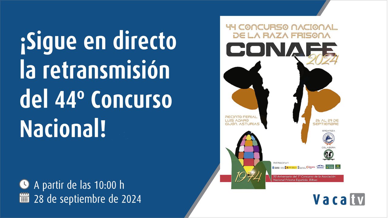 O Concurso Nacional da Raza Frisona, en directo este sábado con Vaca Pinta