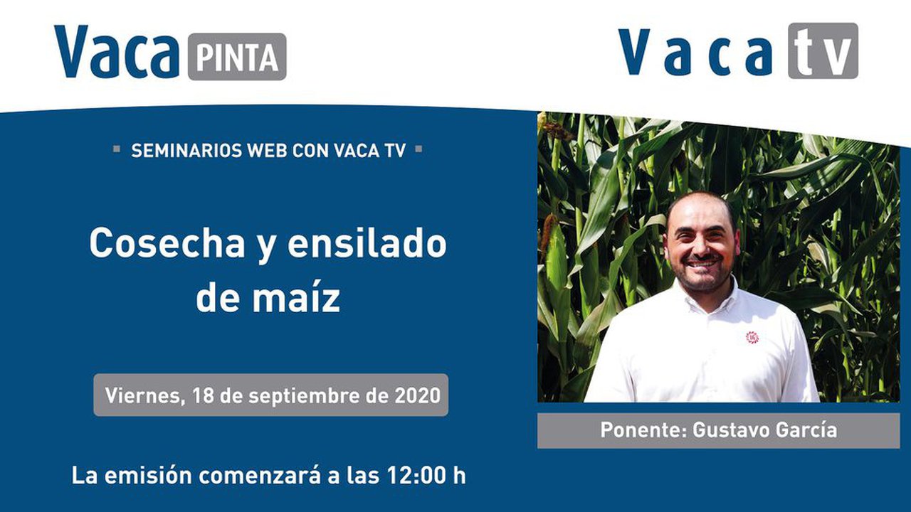 Este venres volven os Seminarios Online con Vaca TV