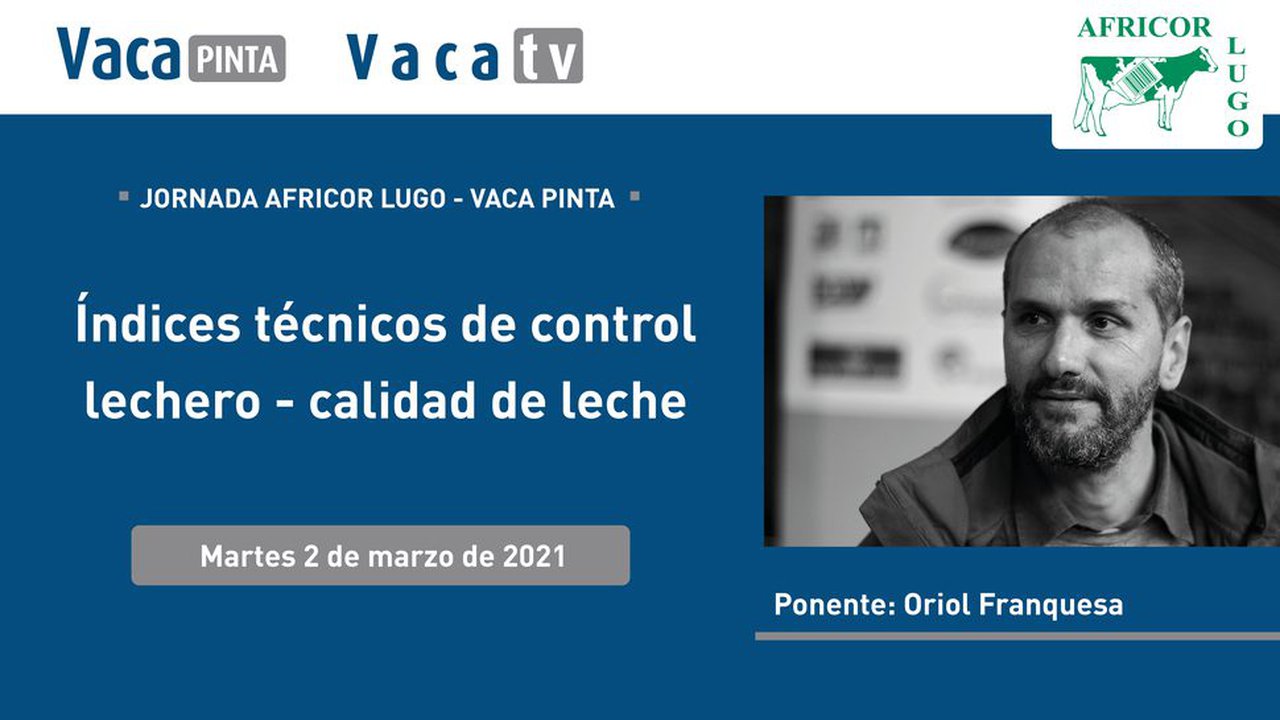 O relator: Oriol Franquesa (QLlet)