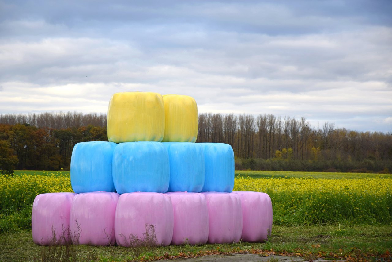 Delagro anima aos gandeiros a adquirir plásticos de ensilado de cores para sumarse á loita contra o cancro