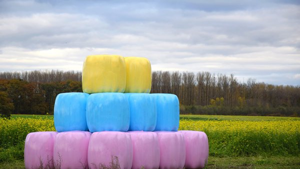 Delagro anima aos gandeiros a adquirir plásticos de ensilado de cores para sumarse á loita contra o cancro