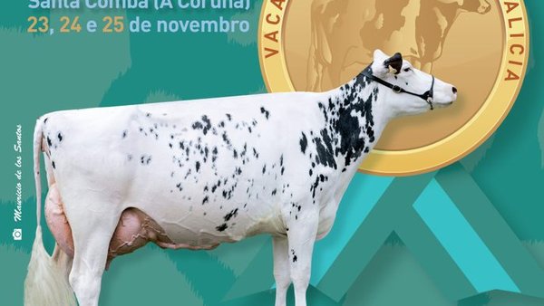 El libro del concurso frisón, ¡ya disponible en nuestra web!