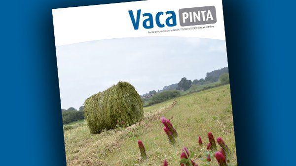 Cumprimos dous anos co lanzamento de Vaca Pinta 15!