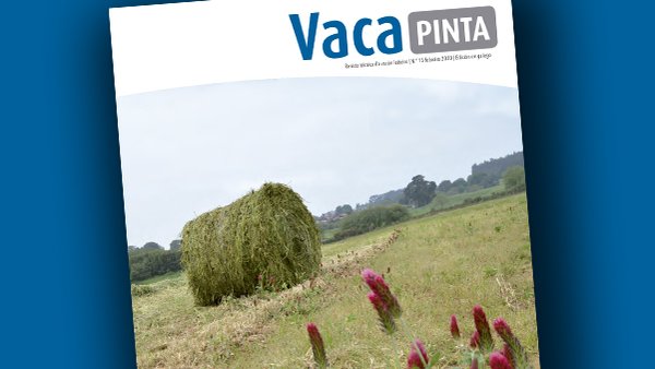 Vaca Pinta 15, xa dispoñible tamén en galego