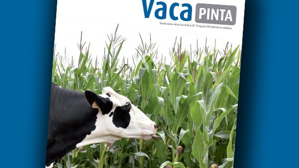 Vaca Pinta 19, xa dispoñible!