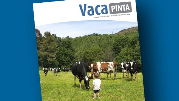 Vaca Pinta 18, tamén dispoñible en galego