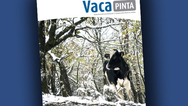 Dispoñible a edición en castelán de Vaca Pinta 21
