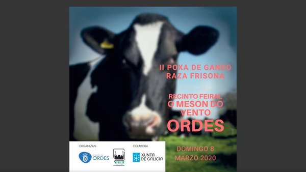 Dispoñible o catálogo da II Poxa de Gando Frisón de Ordes