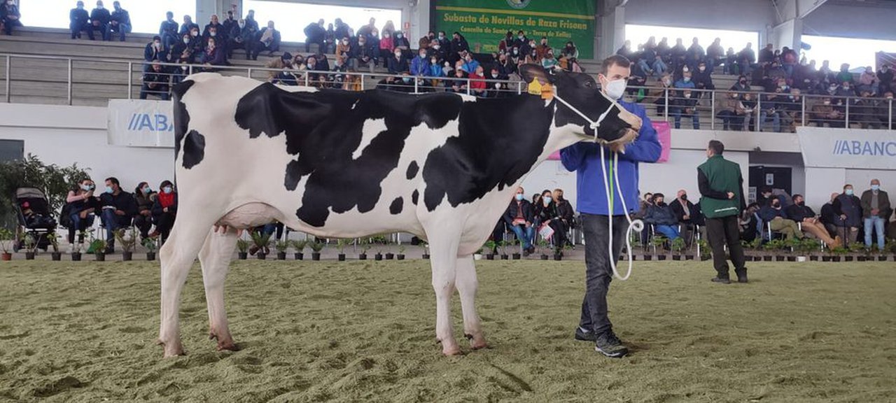 Foto de Xoán Ramón Alvite