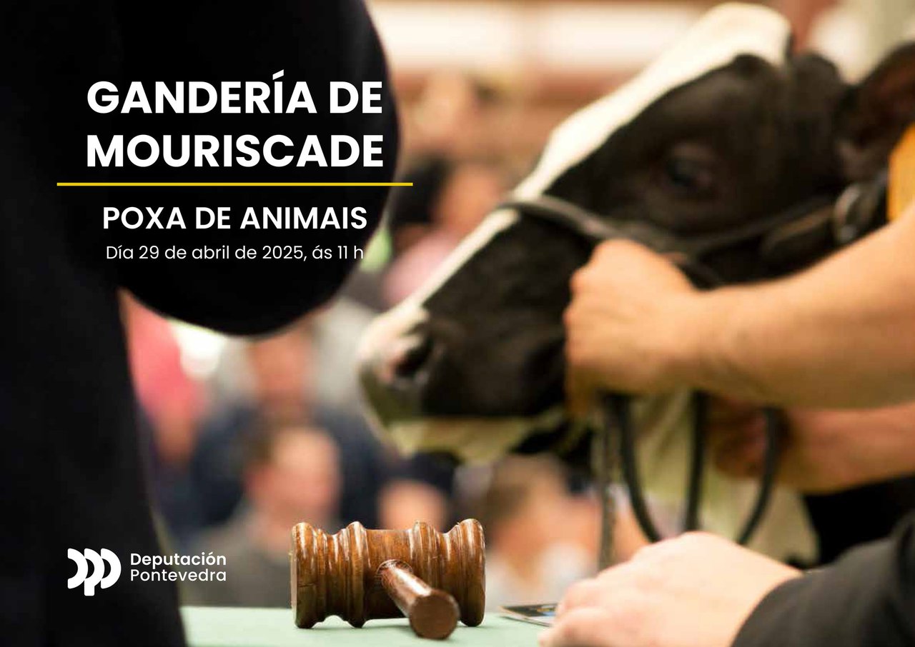 Dispoñibles todos os detalles dos animais que se poxarán en Mouriscade o vindeiro 29 de abril