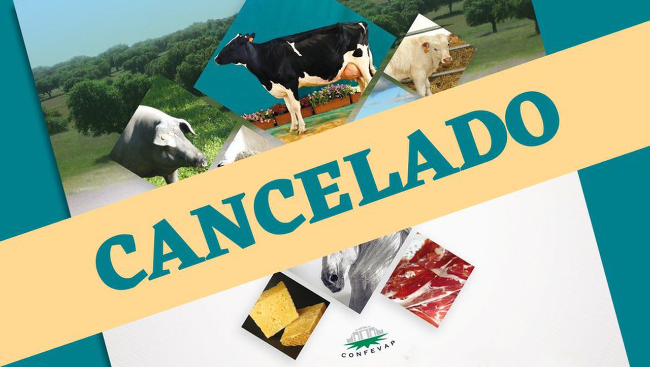 O coronavirus provoca a suspensión da Feira Agrogandeira dos Pedroches