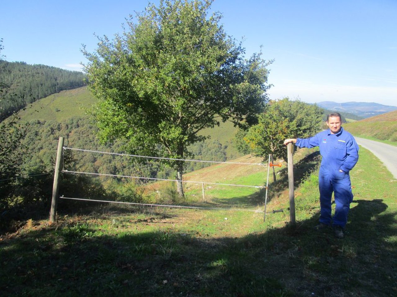 Premio ION-SGPF ao mellor peche eléctrico