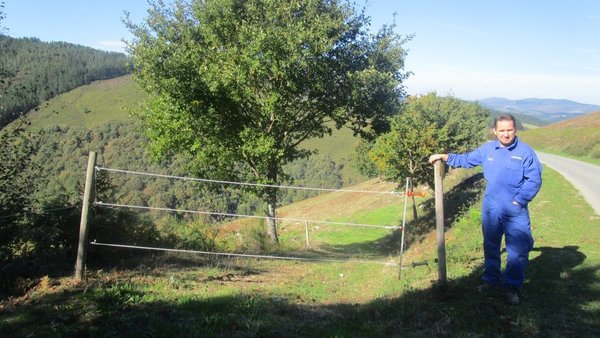 Premio ION-SGPF ao mellor peche eléctrico