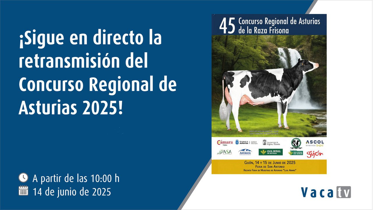 Vaca TV transmite en directo la 45.ª edición del Concurso Regional de Asturias