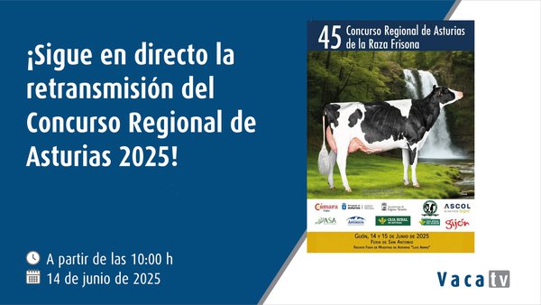 Vaca TV transmite en directo la 45.ª edición del Concurso Regional de Asturias