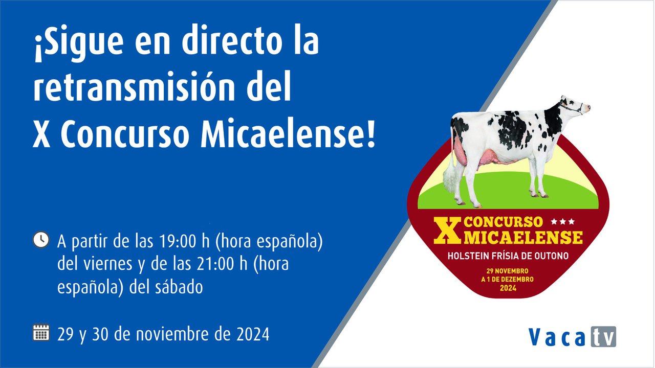 O concurso frisón de outono nas Azores alcanza a súa décima edición esta fin de semana