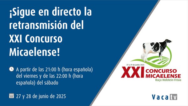 Sigue en directo este fin de semana el XXI Concurso Micaelense de Azores con Vaca TV