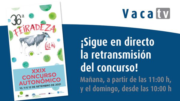 Vaca TV, ¡en directo desde Lalín!