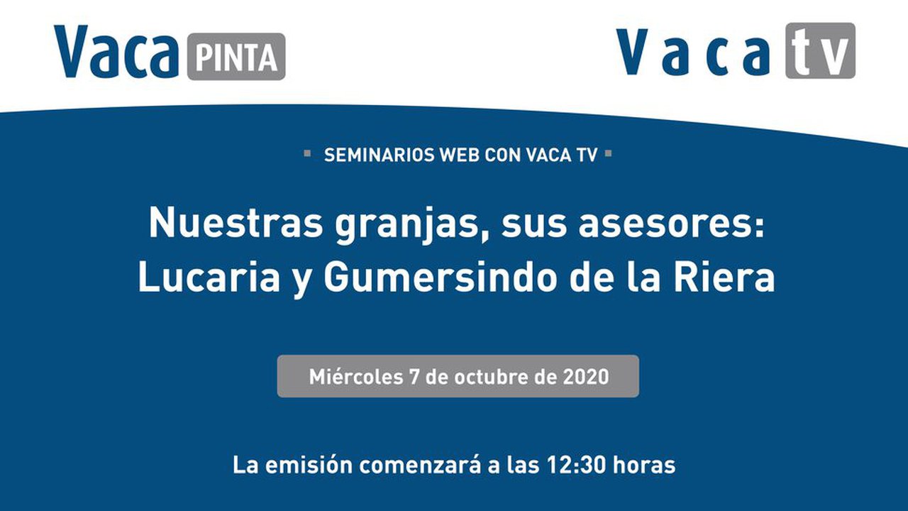 Lely volve aos directos web de Vaca TV