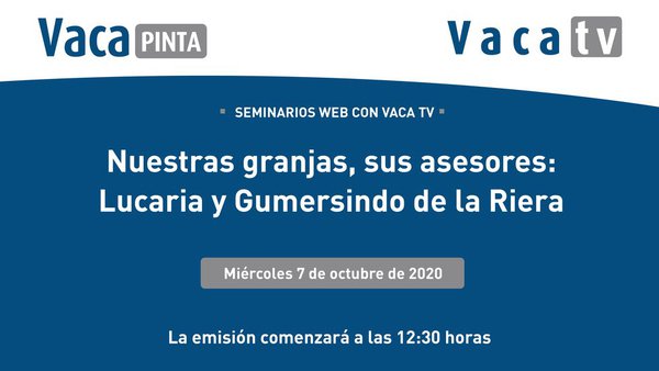 Lely volve aos directos web de Vaca TV