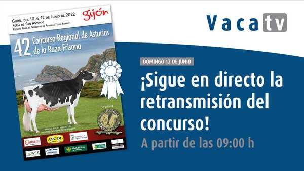 El 42.º Concurso Regional de Asturias, el domingo en directo en Vaca Pinta