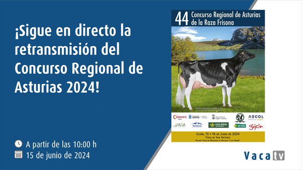 El Regional de Asturias, en directo con Vaca TV