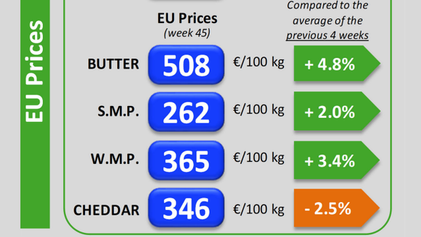 Se prolonga la tendencia alcista en los precios de los lácteos en la UE