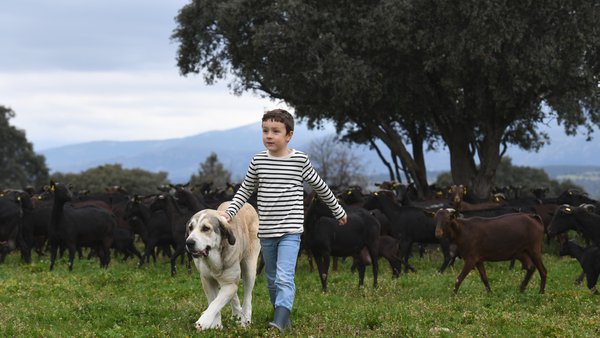 A Inlac anima os consumidores a escoller alimentos lácteos españois durante a volta ao cole