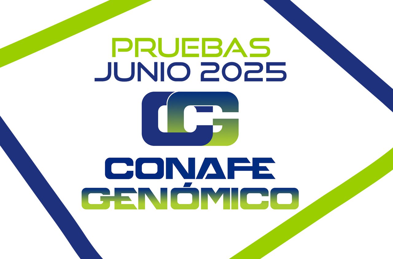 CONAFE actualiza la base genética de la raza frisona en su evaluación de junio de 2025