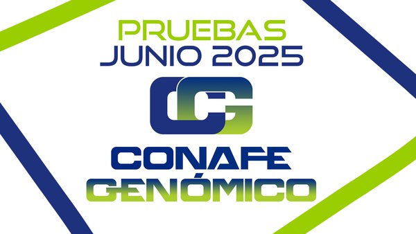 CONAFE actualiza la base genética de la raza frisona en su evaluación de junio de 2025