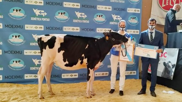 Casa-Nova Shania Mooving 1481 se lleva el premio de novilla gran campeona