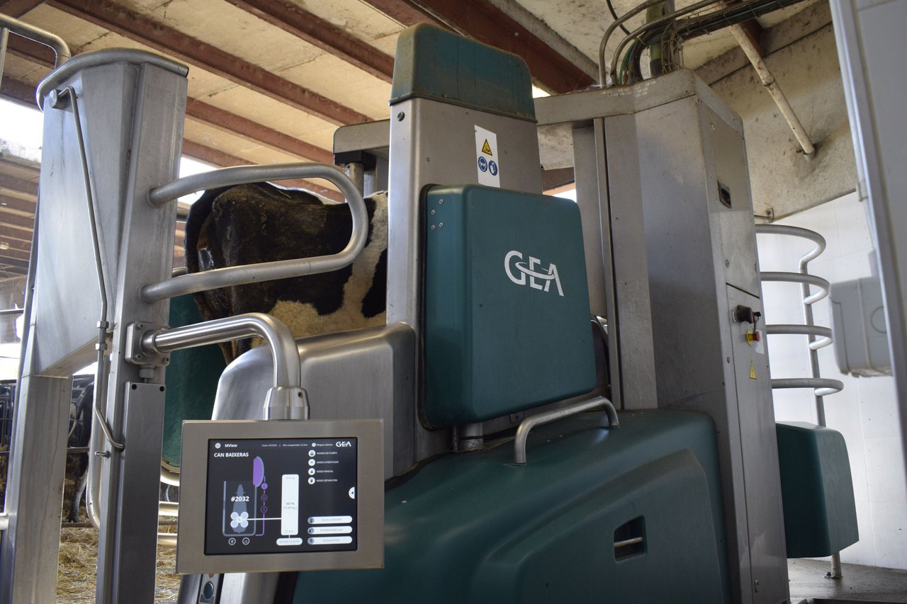 A proba da DLG alemá confírmao: O robot de muxido de GEA é significativamente máis eficiente economicamente