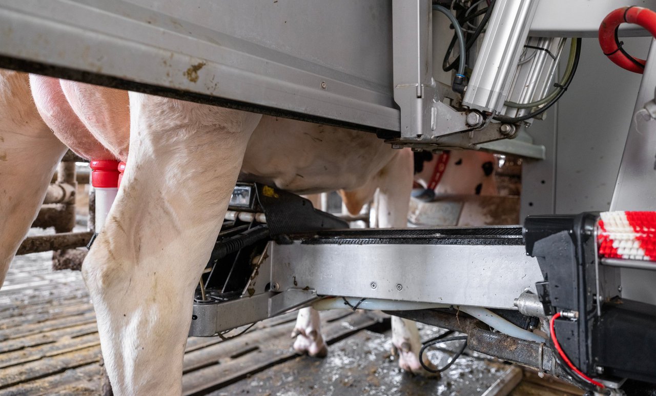 Delagro presenta MEPA, a súa nova solución para mellorar a hixiene en granxas robotizadas