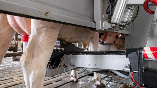 Delagro presenta MEPA, a súa nova solución para mellorar a hixiene en granxas robotizadas