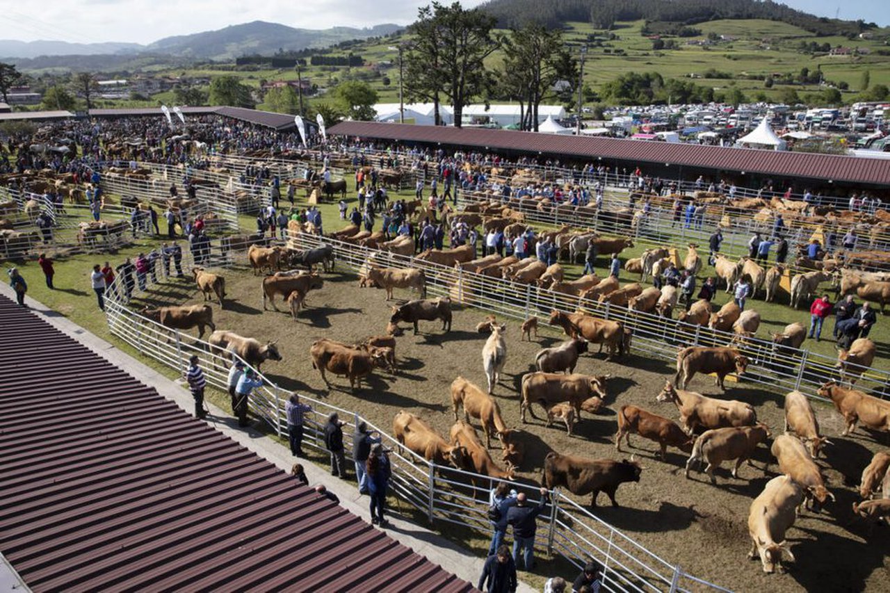 La Feria de San Isidro de Llanera se celebrará el 15 y 16 de mayo solo para profesionales
