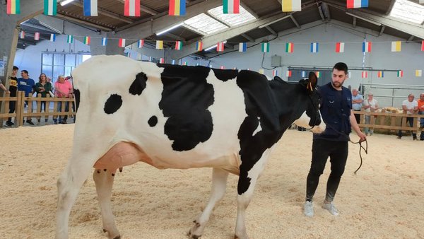 El volumen de negocio superó en Sarria los 34.000 euros