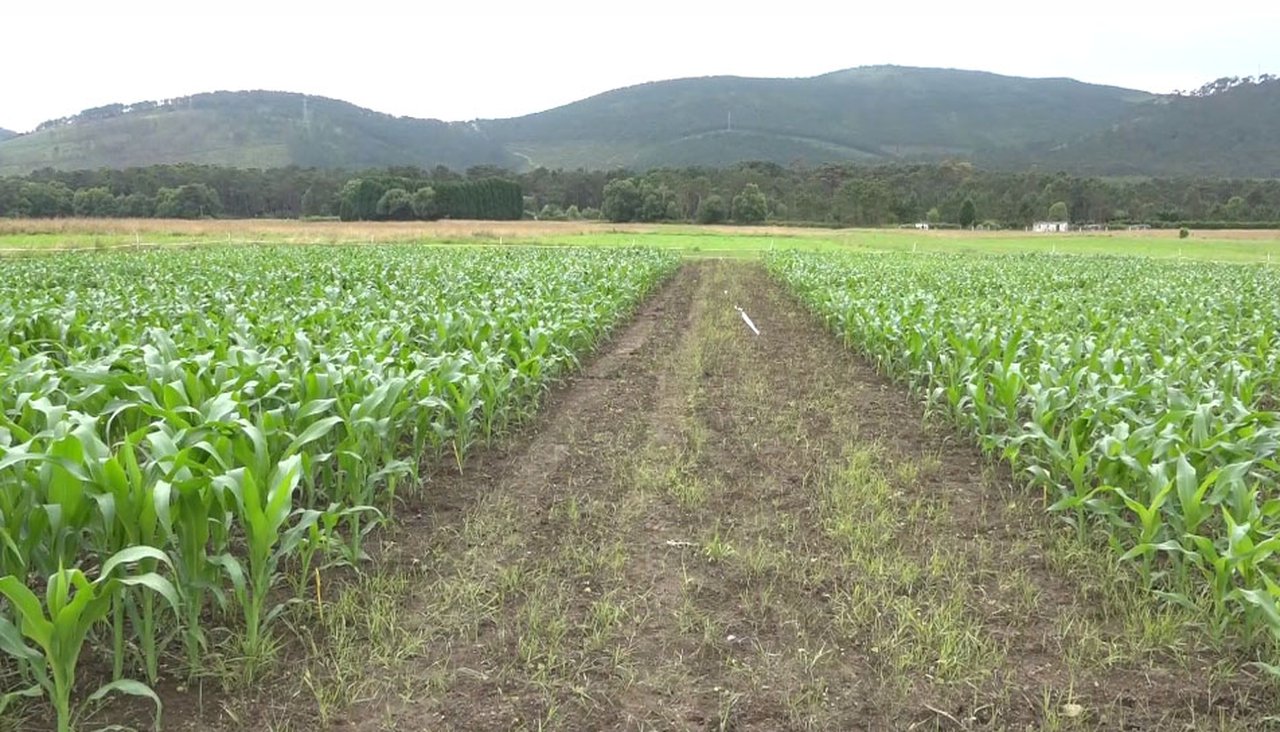 Lely sumistrará a las nuevas instalaciones de SAT A Campa