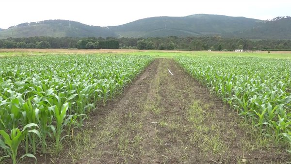 Lely sumistrará ás novas instalacións de SAT A Campa