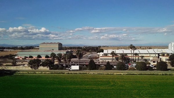 Sipcam Iberia celebra este ano o seu 50 aniversario