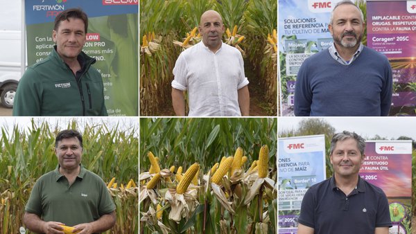 Soaga y Coluga presentaron en Boqueixón los ensayos de variedades de maíz para la campaña 2026
