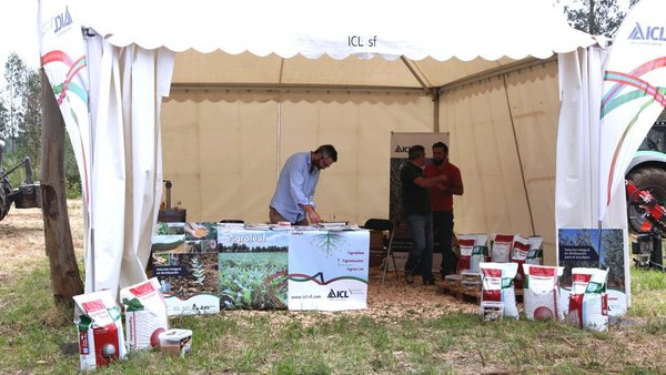 ICL participará en Galiforest 2018