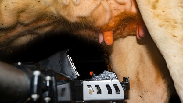 DeLaval lanza Titan™, un innovador desinfectante de tetos con tecnoloxía barreira
