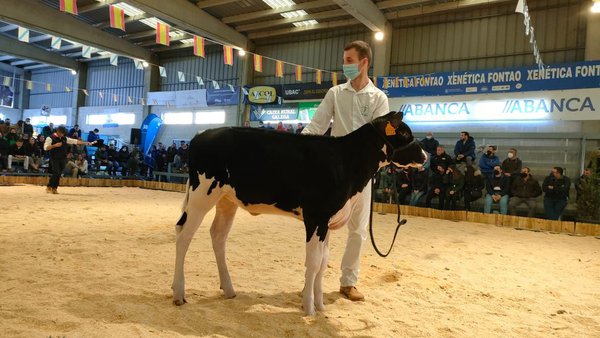 Cundins Hanna Parfect logra el precio más alto en Muimenta